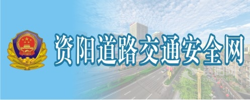 www.大鸡鸡巴.com资阳道路交通安全网